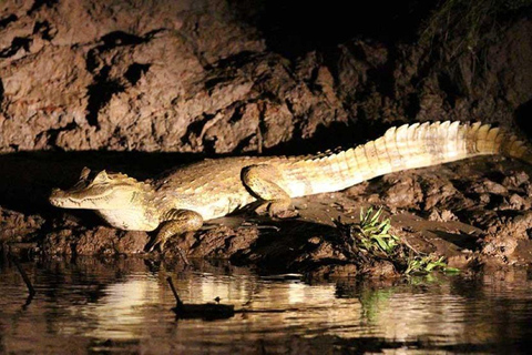 Puerto Maldonado: 3-Day Amazon Lodge Tour
