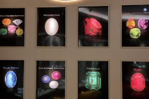 Colombo: Shore Excursion Gem Shopping Tour Shore Excursions from Colombo Port:Colombo Gem shopping tour