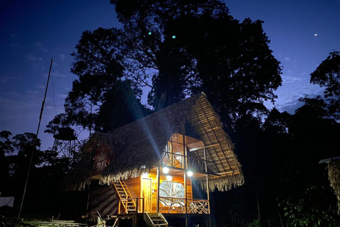 Explore Yasuní: 4-Day, 3-Night Getaway in a Standard Room Yasuní, 4 days and 3 nights. Standard room.