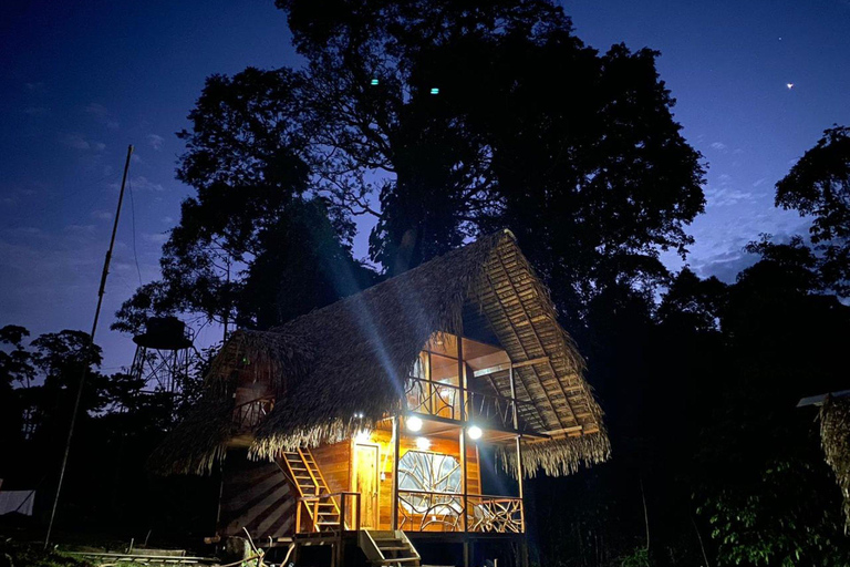 Explore Yasuní: 4-Day, 3-Night Getaway in a Standard Room Yasuní, 4 days and 3 nights. Standard room.