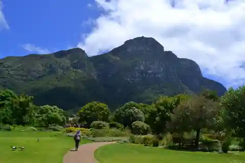 Jardin botanique de Kirstenbosch et région viticole de Constantia