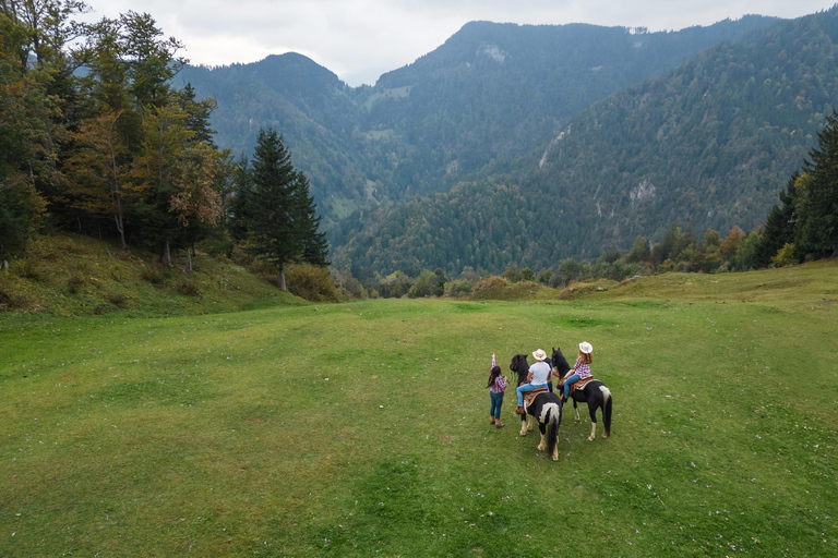 Dublin Mountains: Scenic Guided Horseback Ride 2-hr Dublin Mountains: Scenic Guided Horseback Ride