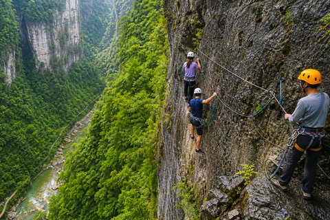 Zhangjiajie: Grand Canyon & Glass Bridge E-Ticket Options English Guide Service Only