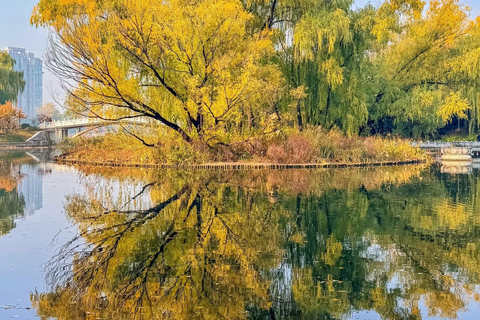 Pekin: botaniczna wycieczka po Parku Purpurowego Bambusa z ExpertGuidesWycieczka botaniczna po Purple Bamboo Park z przewodnikami