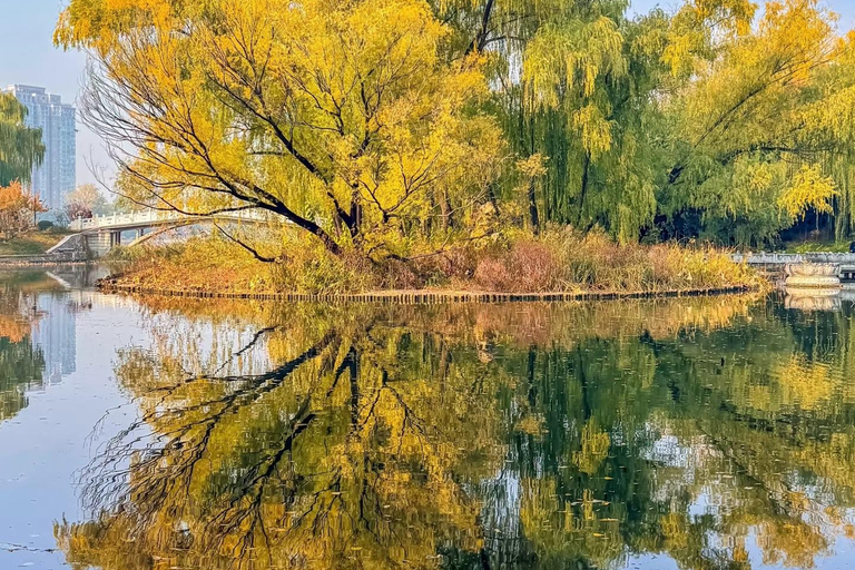 Pekin: botaniczna wycieczka po Parku Purpurowego Bambusa z ExpertGuidesWycieczka botaniczna po Purple Bamboo Park z przewodnikami