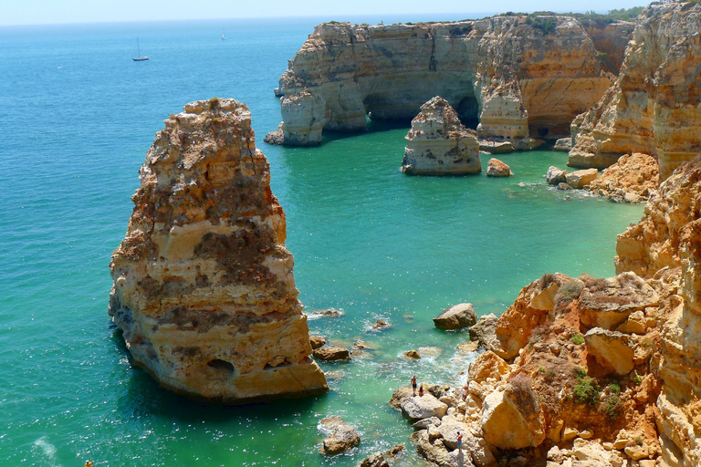 Albufeira - Benagil Caves & Dolphins Boat Tour with Transfer