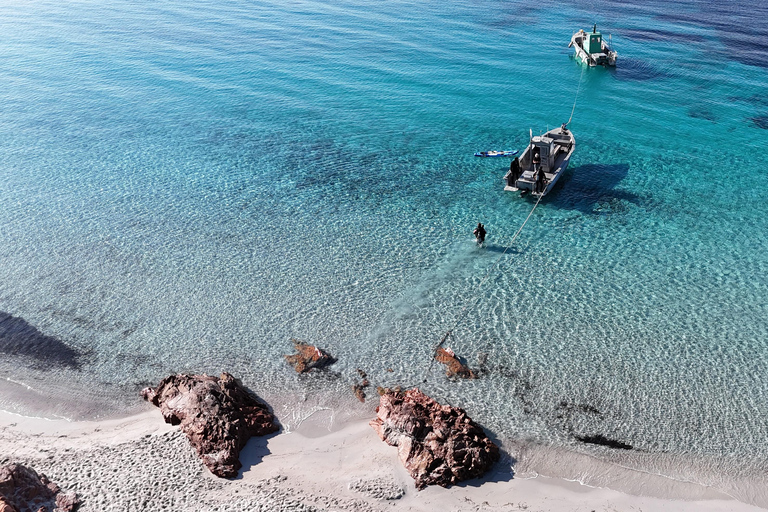 Porto-Vecchio: beginner diving in the Cerbicale Islands in the reserve