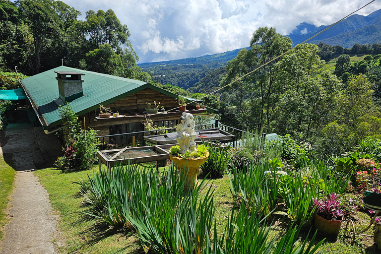 Ancestral Coffee Experience:Become a Coffee Farmer for a Day