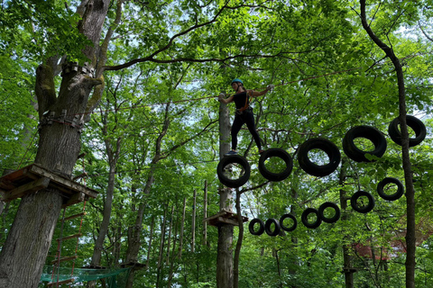 Kelkheim: Outdoor climbing experience in the forest ropes course with circuit and zip lines