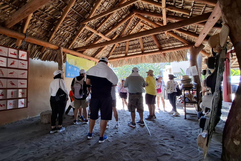 Safari Through the manfroves in Ventanilla, Oaxaca