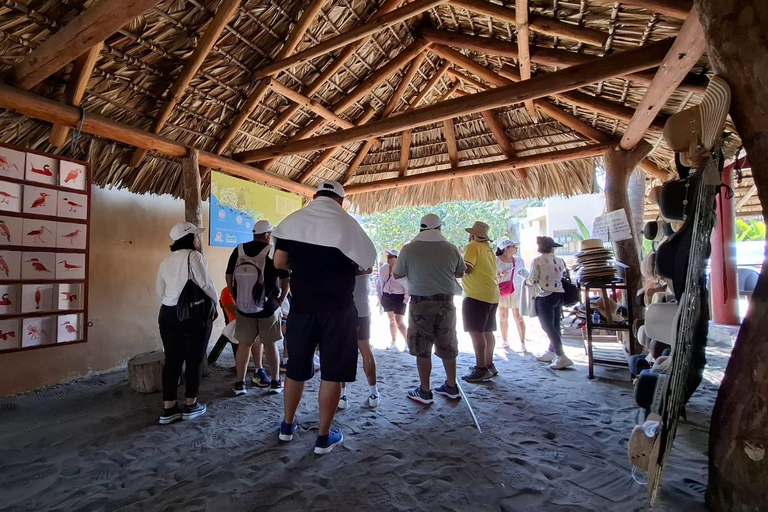 Safari Through the manfroves in Ventanilla, Oaxaca