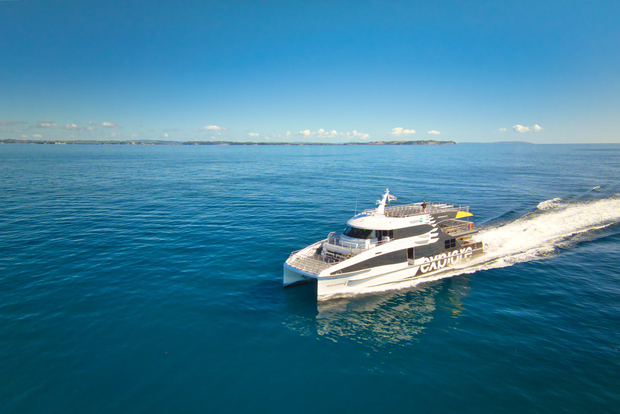 Auckland: traghetto per la penisola di Coromandel e trasferimento in autobus