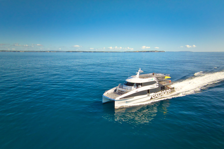 Auckland: Coromandel Peninsula Ferry and Bus Transfer 7:00pm One Way Coromandel to Auckland Ferry & Bus Transfer