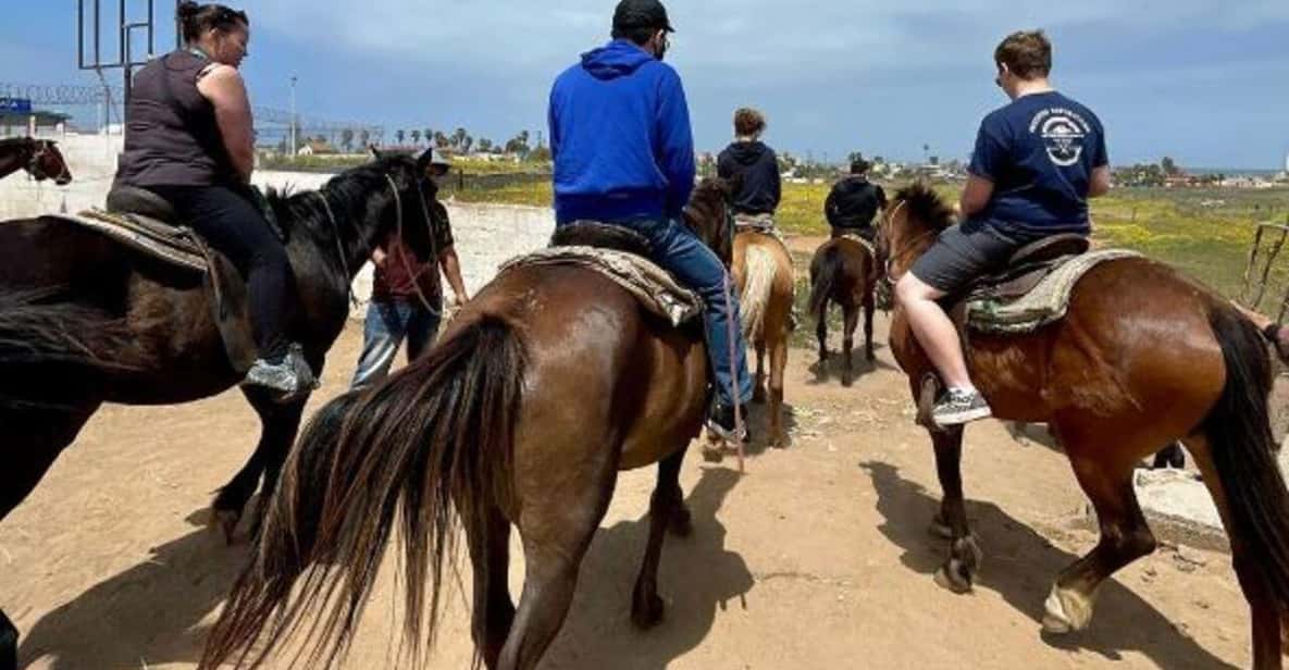 From Bufadora: Horseback Adventure | GetYourGuide