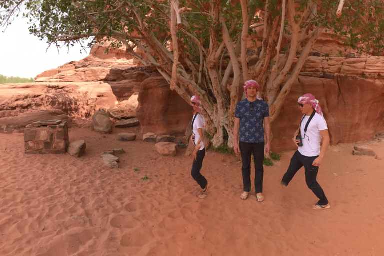 Circuit privé de 3 jours au Wadi Rum et à la mer Morte