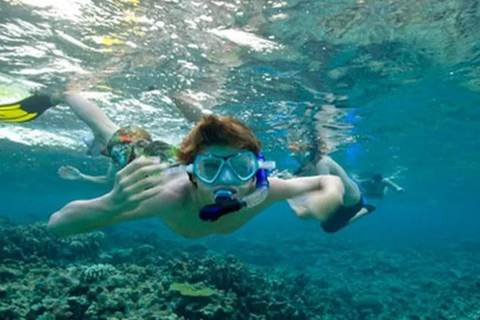 Snorkeling in Port City