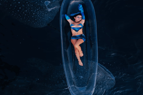 From Lombok Or Sumbawa Sharing 2D1N Whale Shark Snorkeling Starting from Sumbawa 2D1N Whale Shark with Snorkeling