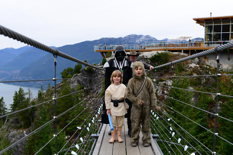 Limited Small Group Tour: Shannon Falls & Sea to Sky Gondola
