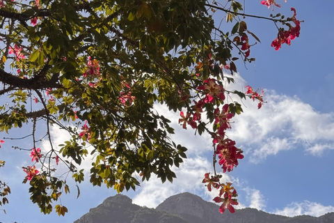 Positano: Walking Tour with Local Guide and Tastings