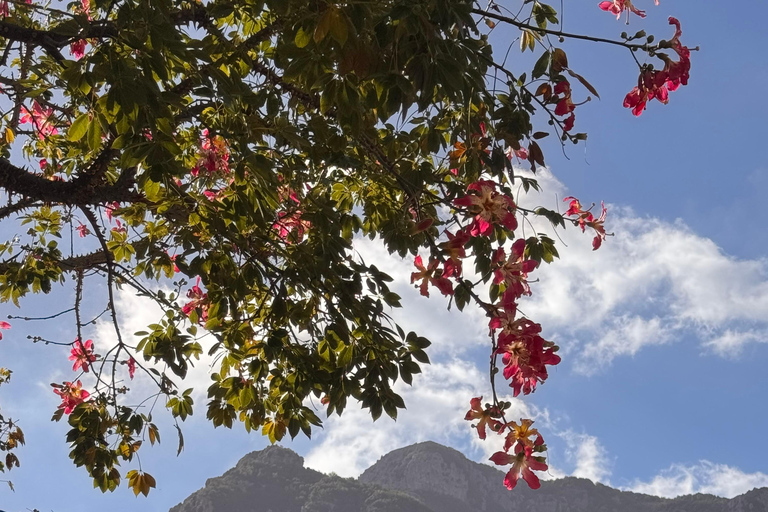 Positano: Walking Tour with Local Guide and Tastings