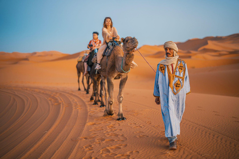 Desde Agadir: Paseo en Camello y Excursión a los Flamencos