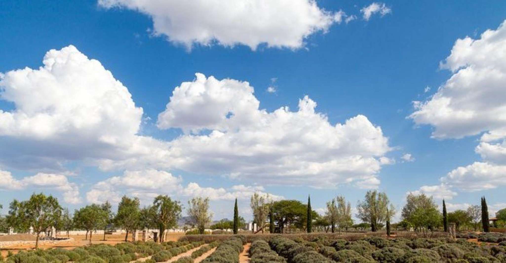 San Miguel de Allende,Mineral de Pozos & Mine Tour Abandonado - Hizvo