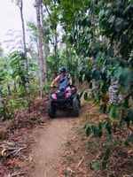 Munduk , Fun ATV Quad bike adventure with natural waterfall - Housity