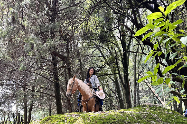 LA MEILLEURE ÉQUITATION AVEC DES COW-BOYS PROFESSIONNELS