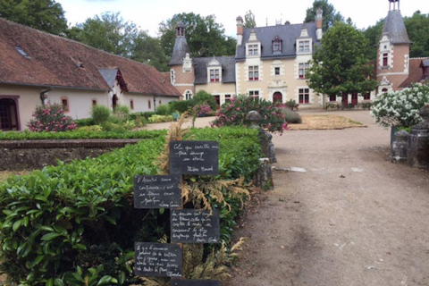 Blois : Dégustation exclusive de vins à Cheverny et Cour ChevernyJournée entière