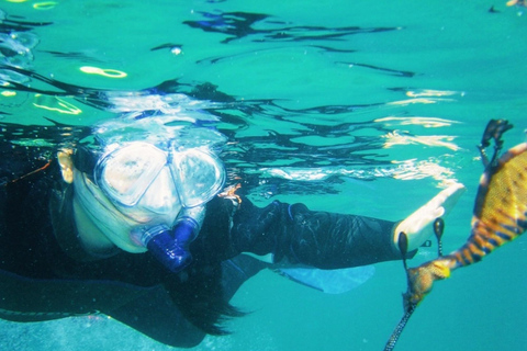 Portsea: Guided Snorkeling Tour with Weedy Sea Dragons