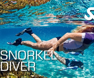 Larnaca: Snorkling vid Zenobia-vraket plus minikryssning