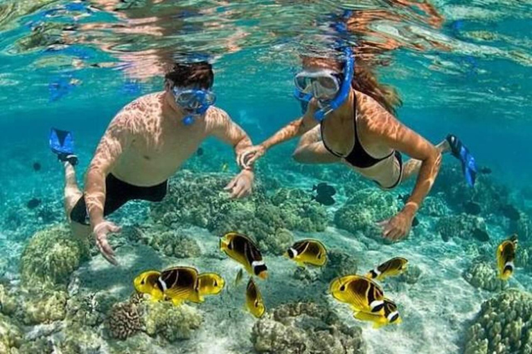 Zanzibar: Safari Blue Day Trip with Snorkeling & Lunch Shared tour with MEETING POINT