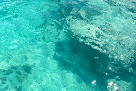 Zanzibar: Mnemba Island Snorkeling Tour Zanzibar: Mnemba Island Snorkeling Tour