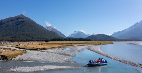 From Queenstown: Dart River Wilderness Jet Boat Experience