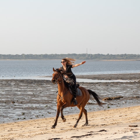 PRIVATE Horseback Riding On The Beach