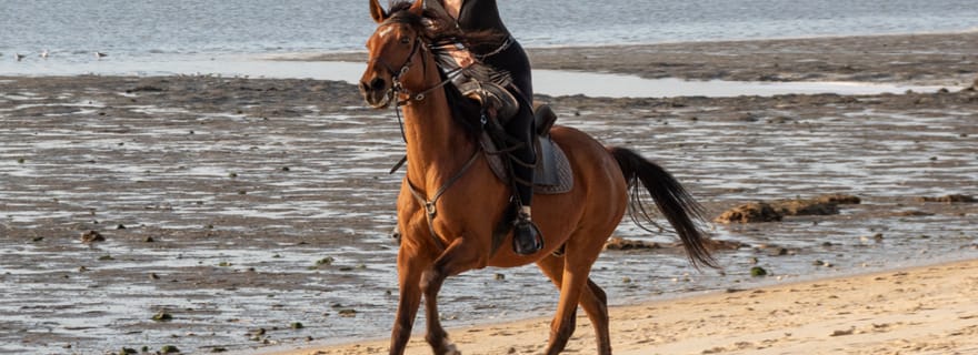 Équitation PRIVÉE sur la plage