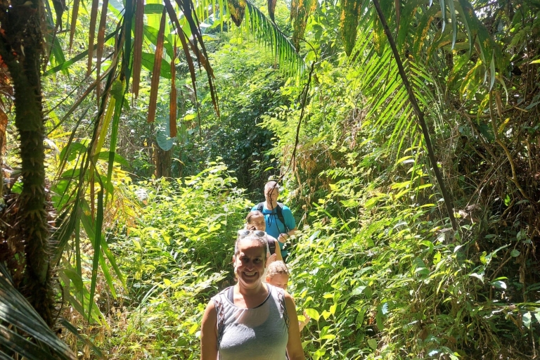 Depuis Phuket : Randonnée dans la forêt tropicale et les cascades
