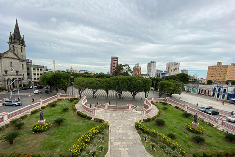 Privat stadsvandring i Manaus historiska centrumPrivat tur i staden