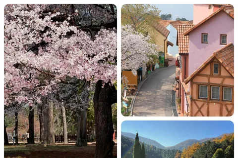 Séoul : Nami, Petite France, Morning Garden (+Healing Park)