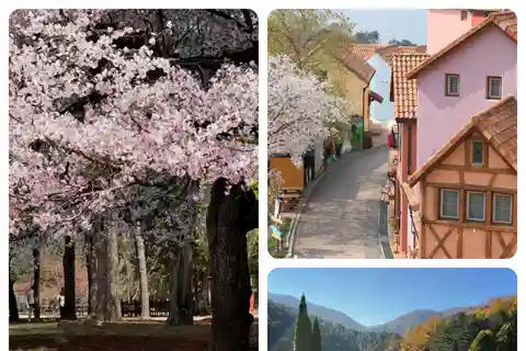 Сеул: Nami, Petite France, Morning Garden (+Healing Park)