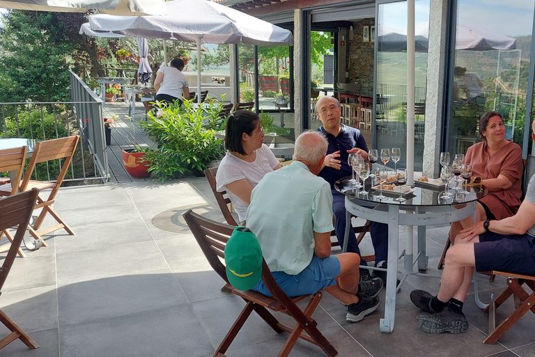 Douro Valley: Private Wine Tour with Lunch