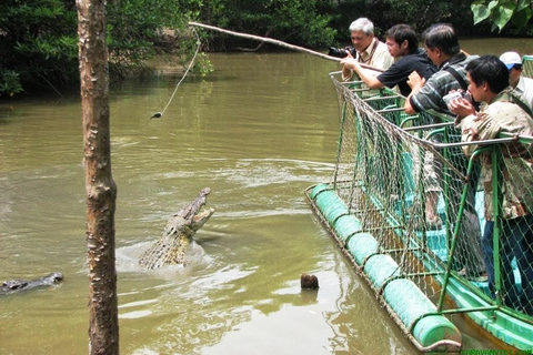 Ho Chi Minh: Explore the mangrove Can Gio forest full day