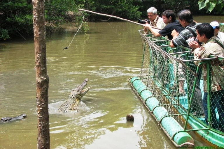 Ho Chi Minh: Explore the mangrove Can Gio forest full day