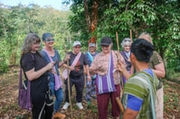Chiang Mai Coffee Farm , 4WD, trekking, arrostimento fai da te e birra. - Hizvo
