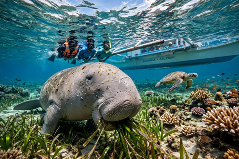 Coron - Busuanga: Dugong & Turtle Snorkeling Tour with Lunch Private Tour