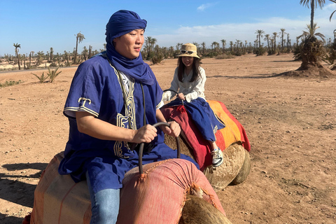 Sunset Camel Ride in Desert &amp; Palm Grove with Tea &amp; Transfer