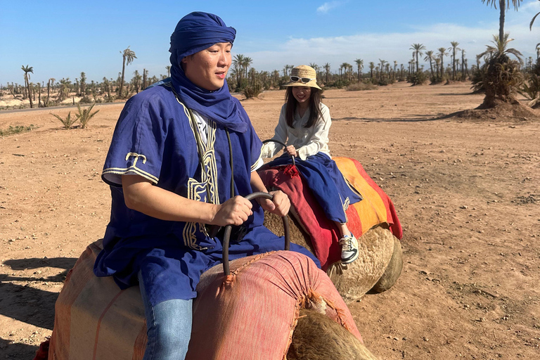 Sunset Camel Ride in Desert &amp; Palm Grove with Tea &amp; Transfer