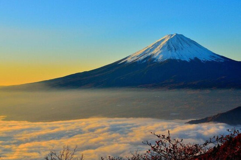 Z Tokio: Prywatna jednodniowa wycieczka na górę Fuji w luksusowym Land CruiserzePrywatna jednodniowa wycieczka krajoznawcza na górę Fuji luksusową Toyotą Crown