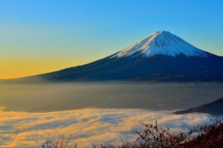 Z Tokio: Prywatna jednodniowa wycieczka na górę Fuji w luksusowym Land CruiserzePrywatna jednodniowa wycieczka krajoznawcza na górę Fuji luksusową Toyotą Crown