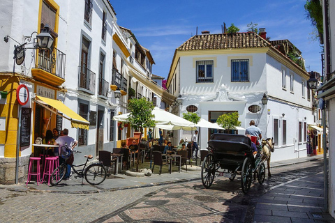 Sevilha: viagem em minibus privado para Córdoba para pequenos gruposSevilha: viagem de microônibus particular para Córdoba para grupos pequenos